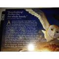 DVD - Legend of The Guardians The Owls of Ga`Hoole