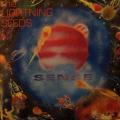 CD - The Lightning Seeds - Sense