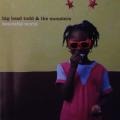 CD - Big Head Todd & The Monsters - Beautiful World