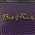 CD - Big & Rich - Horse of a Different Color