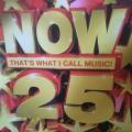 CD - Now That`s What I Call Music 25
