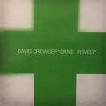 CD - David Crowder Band - Remedy