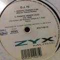 12` Maxi - D.J 70 - Fanatic Trance (12`)