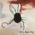 CD - Nine Black Alps - Everything Is
