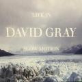 CD - David Gray - Life In Slow Motion