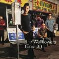 CD - The Wallflowers - (Breach)