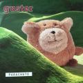 CD - Guster - Parachute