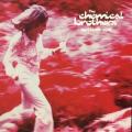CD - The Chemical Brothers - Setting Sun