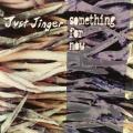 CD - Just Jinger - Something for Now