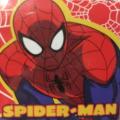 Magic Facecloth - Marvel The Ultimate Spider-Man (New Sealed)
