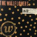 CD - The Wallflowers Bringing Down The House