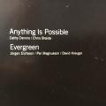 CD - Will Young - Anything is Possible / Evergreen (single) - original idols winner