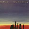 CD - Edie Brickell - Picture Perfect Morning
