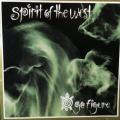 CD - Spirit Of The West - Go Figure