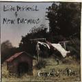 CD - Edie Brickell & The New Bohemians - Ghost of A Dog