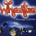 CD - Wheatus - Teenage Dirt Bag (Single)