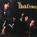 CD - The Black Crowes - Shake Your Money Maker