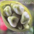 CD - Fiona Apple - Extraordinary Machine