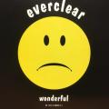 CD - Everclear - Wonderful