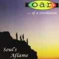 CD - ...Of A Revolution - Souls Aflame