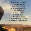CD - Corey Stevens - Road to Zen (Promo CD)