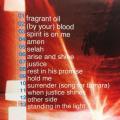 CD - David Ruis & Indigika - When Justice Shines