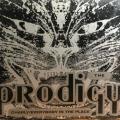 CD - The Prodigy - Charly / Everybody In The Place (Digipak)