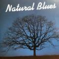 CD - Naturescapes Music - Natural Blues