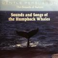 CD - Sounds & Songs Of The Humpback Whales