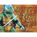 DVD - Teenage Mutant Ninja Turtles 3