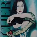 CD - Cher - It`s A Man`s World - WICD 5224