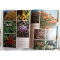 Shrubs, Trees and Climbers for Southern Africa - Sima Eliovson - Hardcover