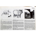 The Hamlyn Illustrated Encyclopedia - Hardcover