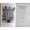 Plant Pruning in Pictures - Montague Free (Hardcover)
