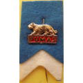 Vintage Pumas Rugby stick pin badge