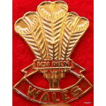 Vintage Wales Rugby stick pin badge