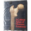 A Colour Atlas of Human Anatomy - R.M.H. Mc Minn and R.T. Hutchings - Hardcover