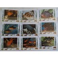 Umm al Qiwain - 1972 - Tropical Fish - 9 Cancelled stamps