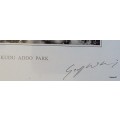 Black and White - Kudu Addo Park - Geoff Whiting Photography Print - On Mounting board