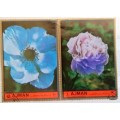 Ajman - 1972 - Flowers - 2 Cancelled Hinged stamps