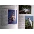 Birds of the South Western Cape - Joy Frandsen - Hardcover 1982