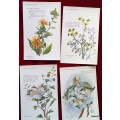 Set of 12 Unused Post Cards - Flowers of the Holy Land