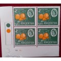 Rhodesia - 1966 - 2d Citrus - Elizabeth II - Corner Block of 4 Unused stamps