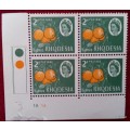 Rhodesia - 1966 - 2d Citrus - Elizabeth II - Corner Block of 4 Unused stamps