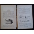 Gulliver`s Travels and Voyages to the Remote Parts of the World - Jonathan Swift - Hardcover Undated