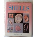 Illustrated Encyclopaedia of Shells - Kenneth R Wye - Hardcover