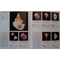 Illustrated Encyclopaedia of Shells - Kenneth R Wye - Hardcover