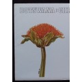 Botswana - Christmas 1977 - Flowers - FDC