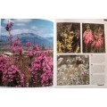 Beautiful Wild Flowers of Southern Africa - English/German/French - Softcover 1996