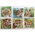 Laos - 1981 - Wild Cats - Set of 6 Cancelled Hinged stamps